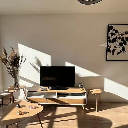 Apartment Spacieux T2 Idealement Place Toulouse